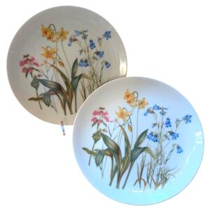 Shafford Lunch Plates Rose Garden 7.5"  (2)